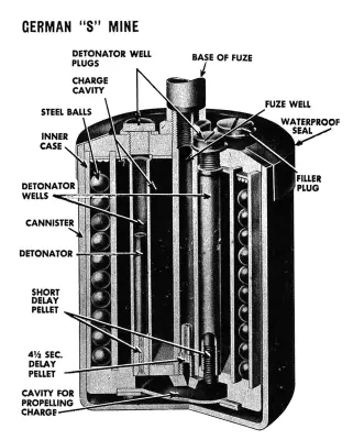 S-Mine cross section diagram